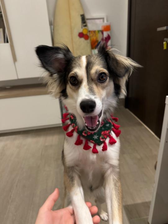 Ana lucia Garcia de paredes