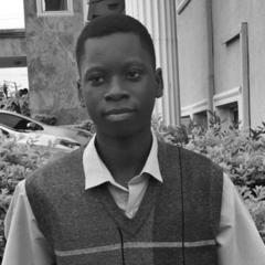 Rapheal Digital Agency