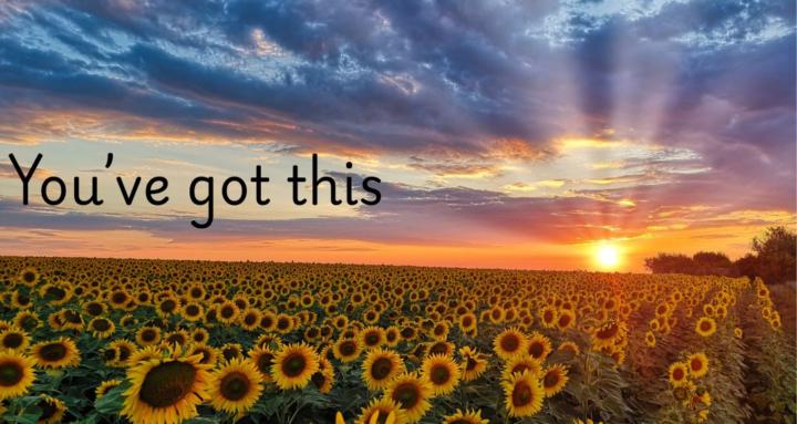 Confidence Reset Club