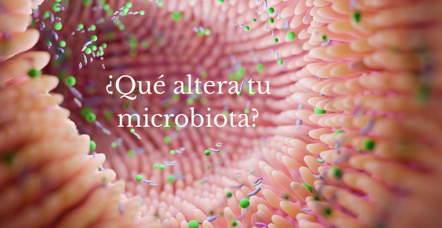 ¿QUÉ AFECTA A TU MICROBIOTA?