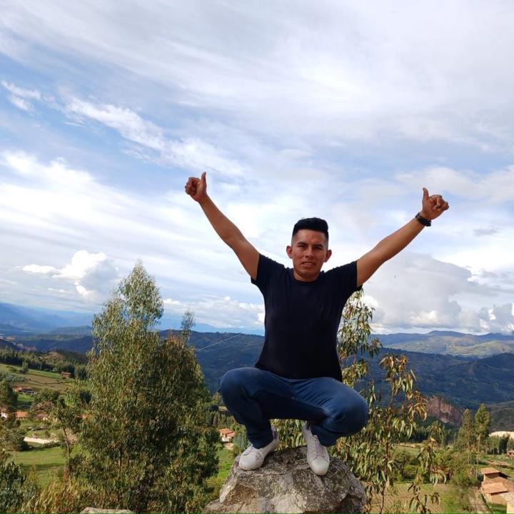 Ronald joel Sandoval Vilca