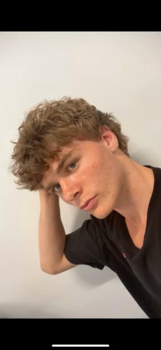 Harley Auer