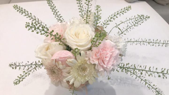 Yến Đang Chữa Lành