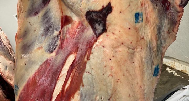 Shellmouth Sausage Inc