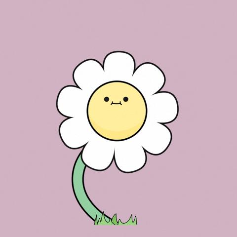 Dina Flowers