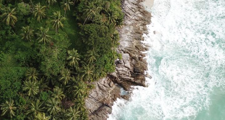 The Freedom Switch Club