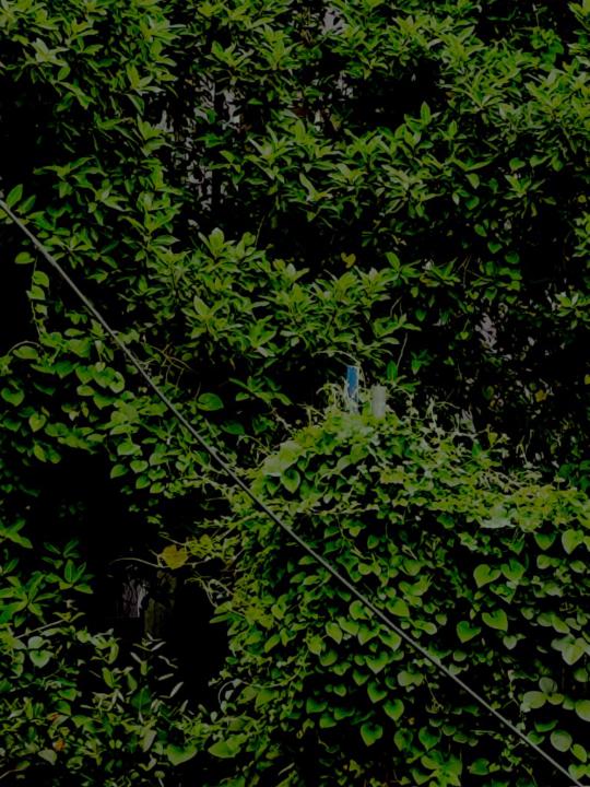 Rakshan Venkatramanan shanthi