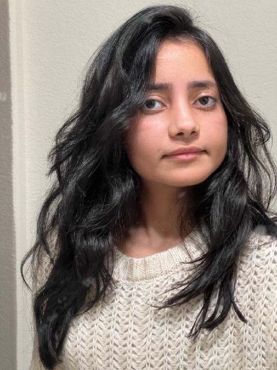 Arti Mamidi