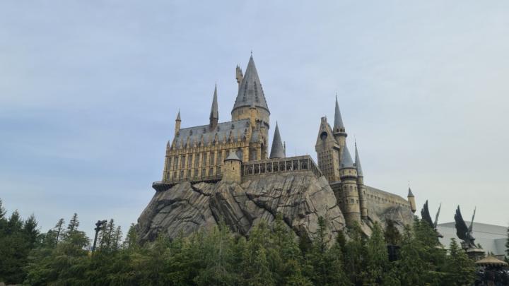 David Alonso García Reyna