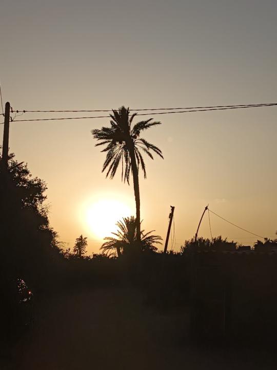 Yamini Yamina