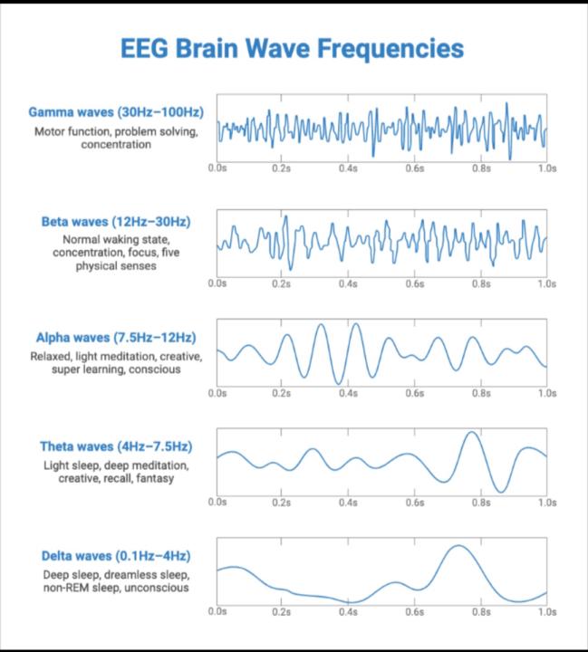 Diving Deeper Into Energy Cultivation from a Scientific Perspective