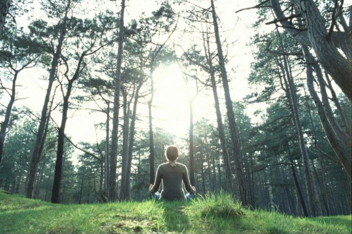 Forest Bathing: Natural Stress Relief in 30 Minutes 
