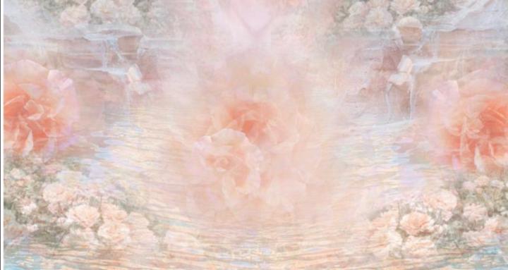 Venus Garden🌷女神聖殿