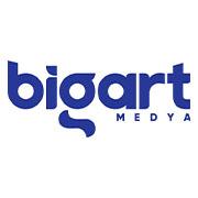 Big-Art Media