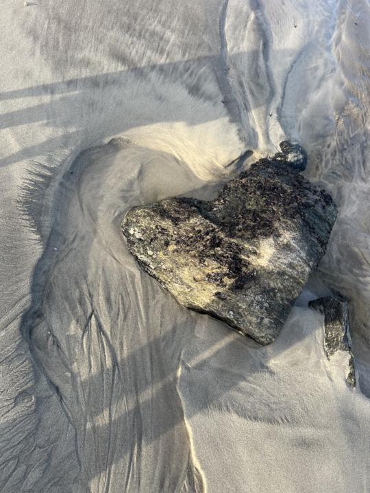 Natural Inspiration…