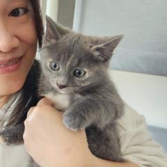 Kaman Wong