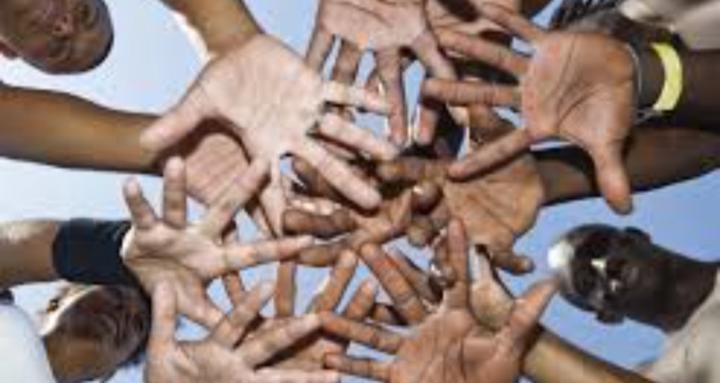 The Impact Mentorship Network