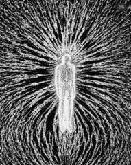 Santiago García - Alejando Borja