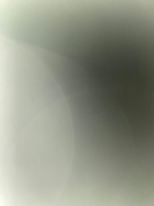 صالح البرقي