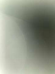 صالح البرقي