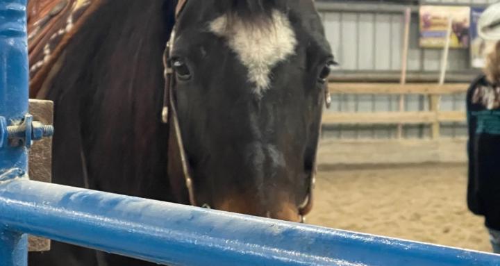 KME Equestrian Support Service