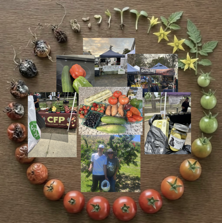 Reconnecting with our Food - via the Farmer's Market