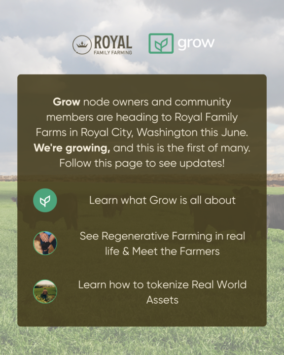 Grow In Real Life