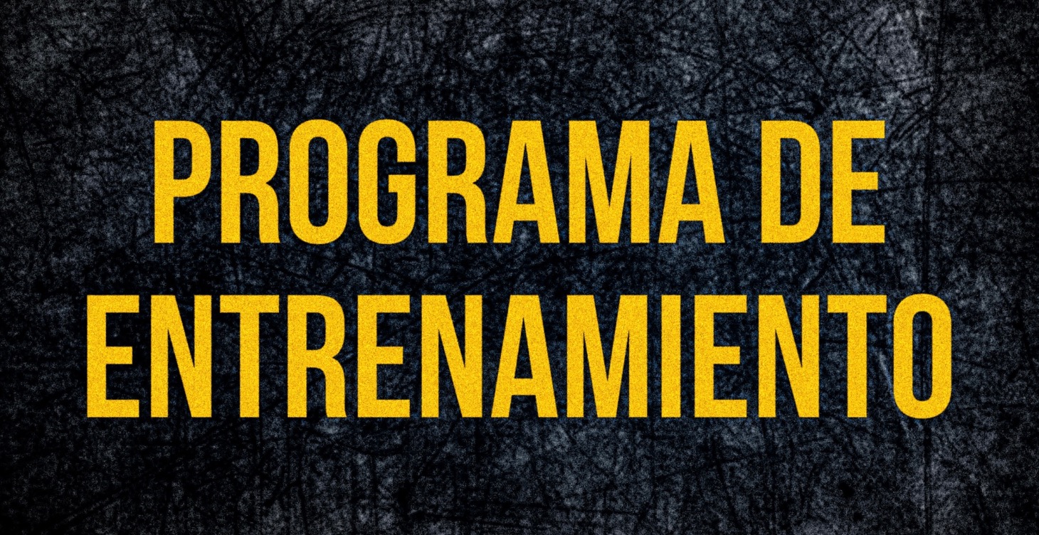 Programa de Entrenamiento