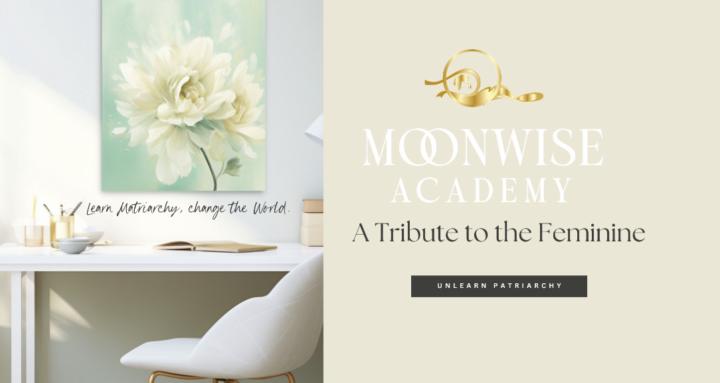 Moonwise Academy