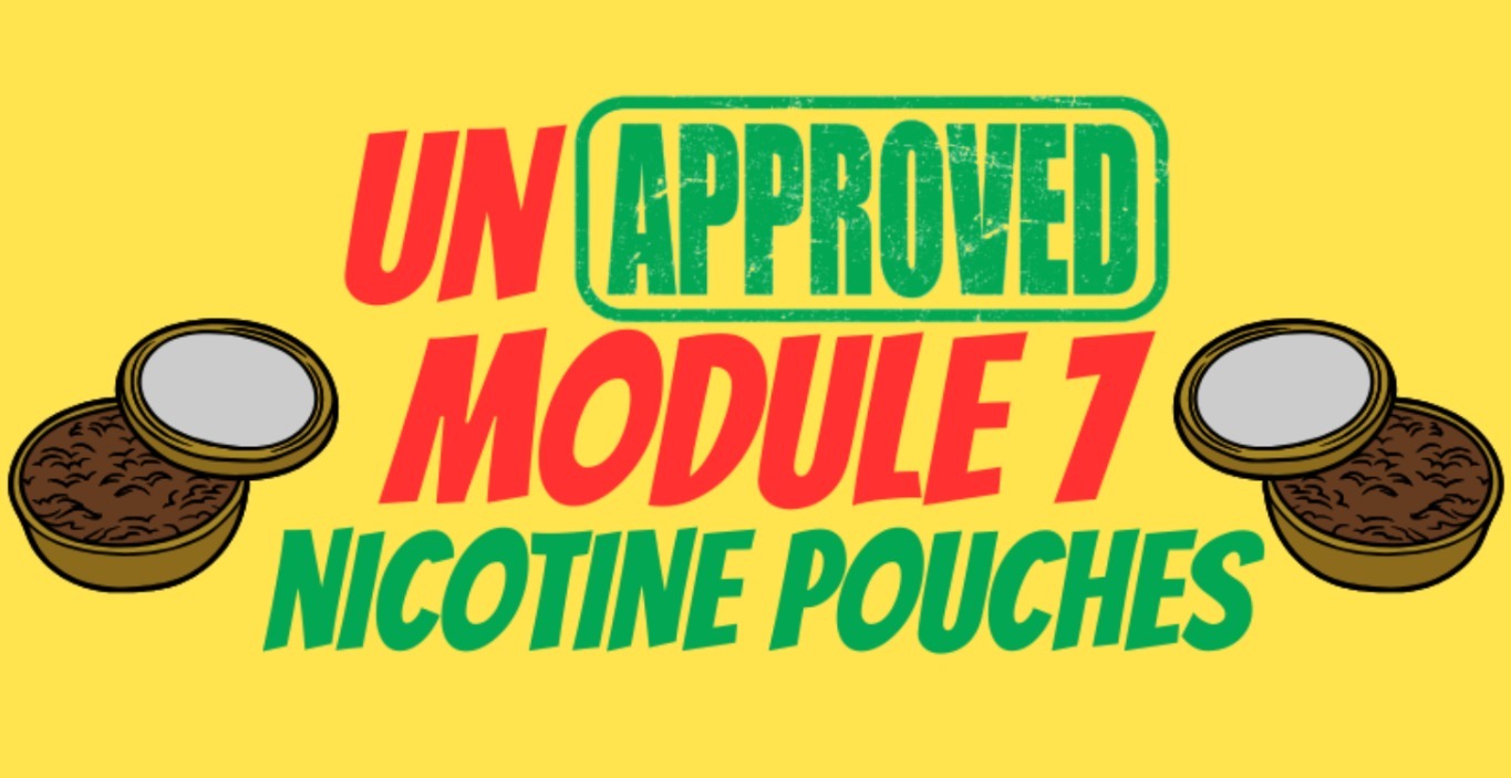 Module 7: Nicotine Pouches