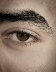 Ayoub Hamo