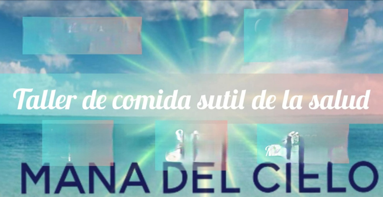 Comida sutil de la salud