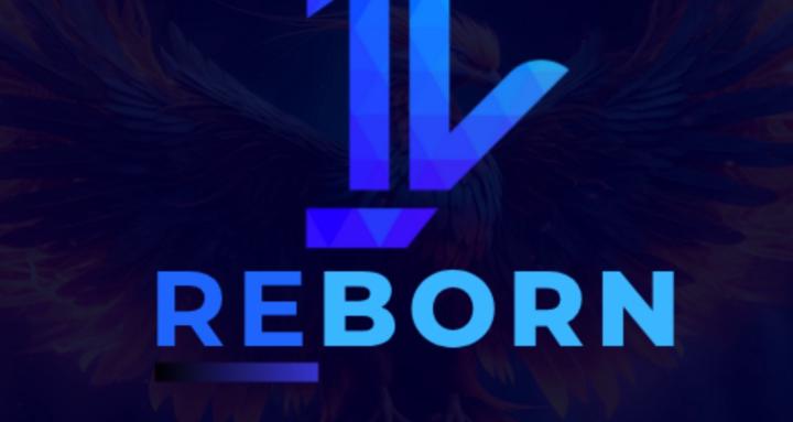 REBORN | FEEL ELEVATED