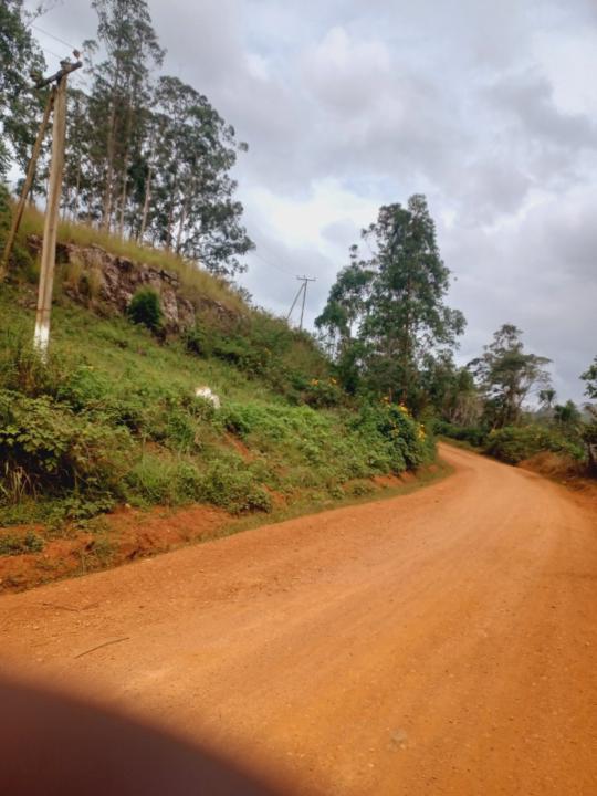 Adonis cabrel Azemtsop