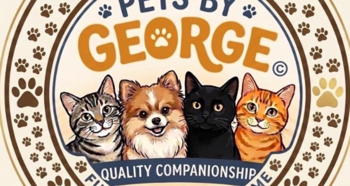 Pets by George©️