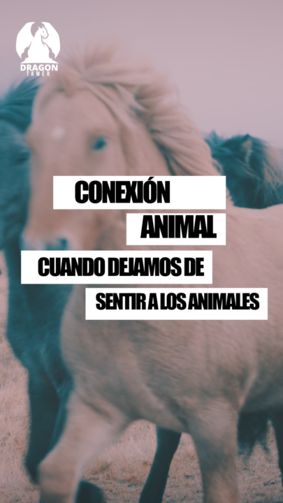Lo que nos quitamos cuando dejamos de sentir a los animales