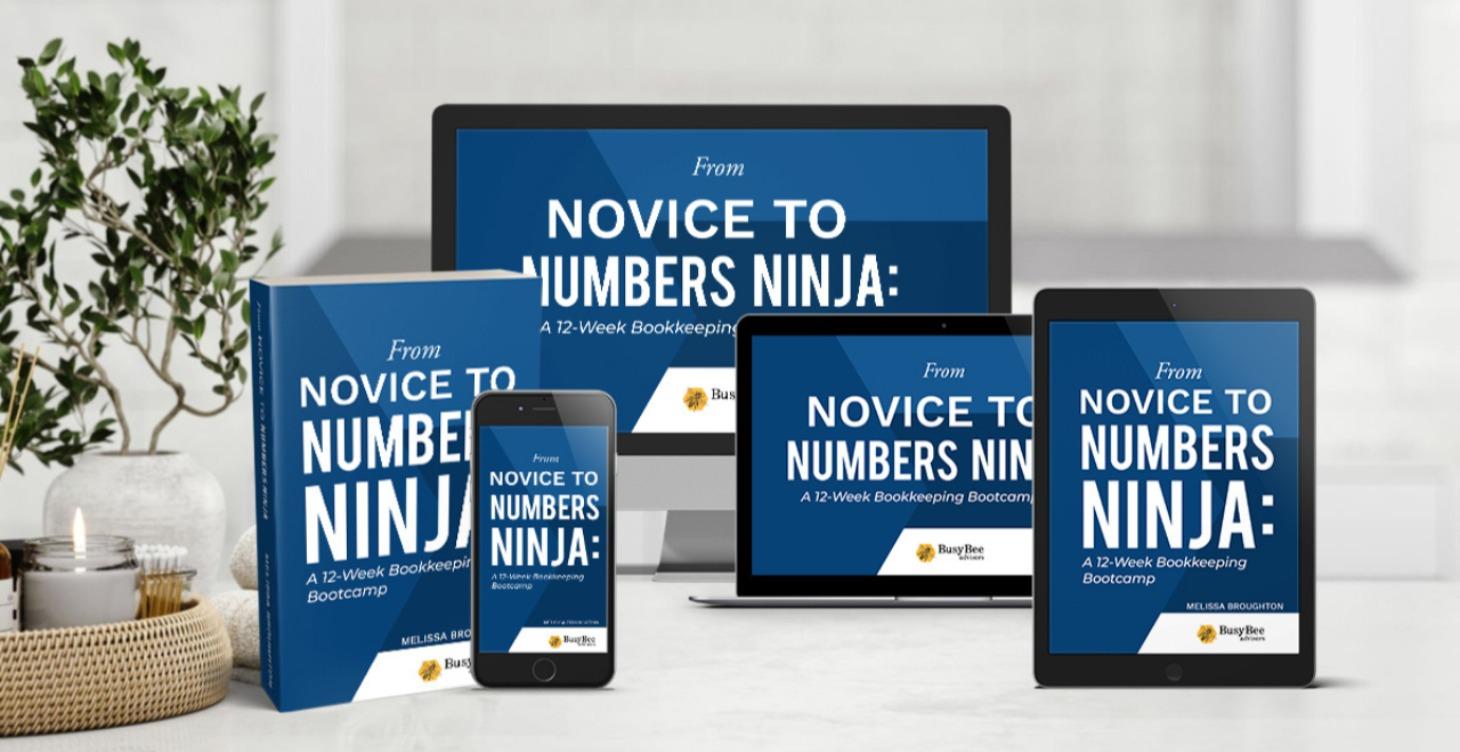 Novice to Number Ninja 12 Week Self Study Course