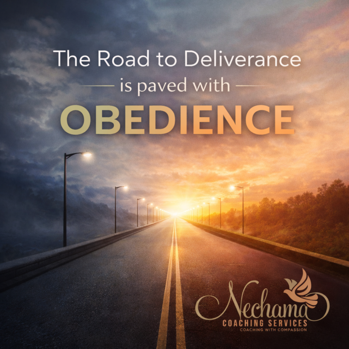 Reflection: What is God asking you to obey today?