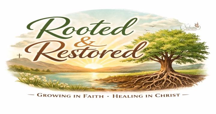 Rooted & Restored