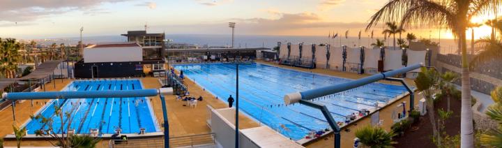 WHY DO SOME SWIMMERS WIN… AND OTHERS DON’T? 🤔