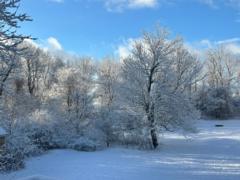Megan Laferriere