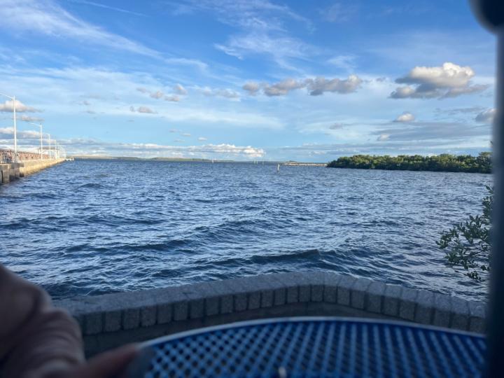 Kat aka Timmy Schreiber