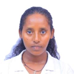 Tizeta Abera