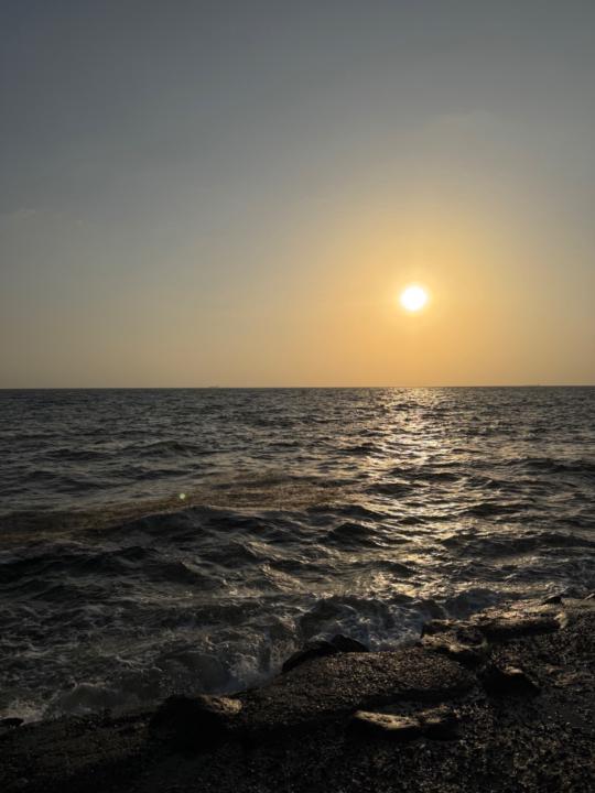 نور عريشي