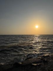 نور عريشي