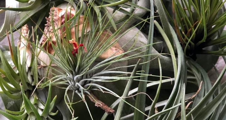 Odyssey- a Healers community