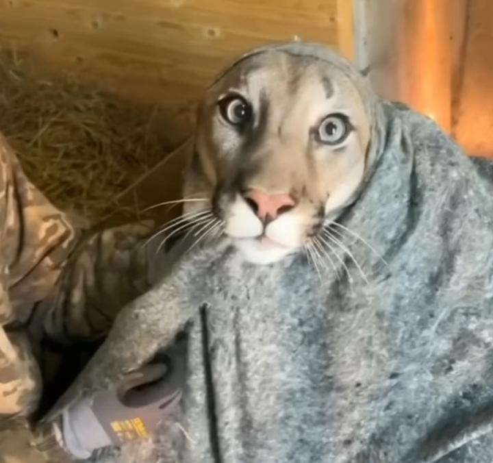 Muhammed Emin Ergül