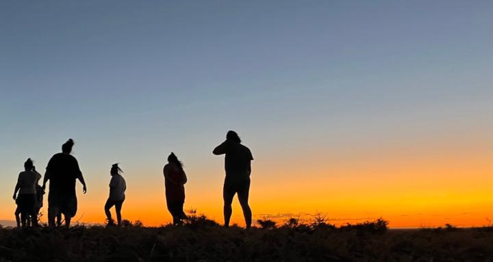 Being Alive — The Experiment