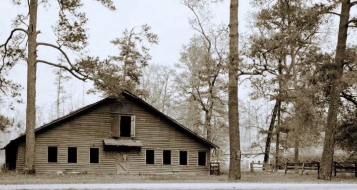 Rustic Roost Homestead