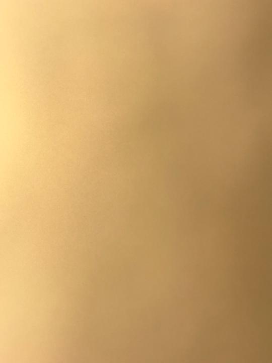 Faisal Alajmi